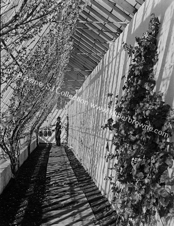 THE PEACH HOUSE , EMO COURT, WITH JOHN TREACY, GARDENER.